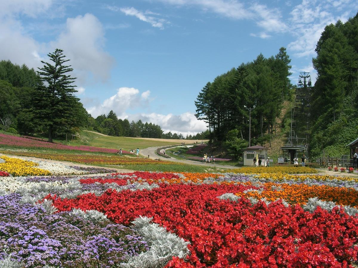 Hotel Hirugami No Mori Achi Zewnętrze zdjęcie